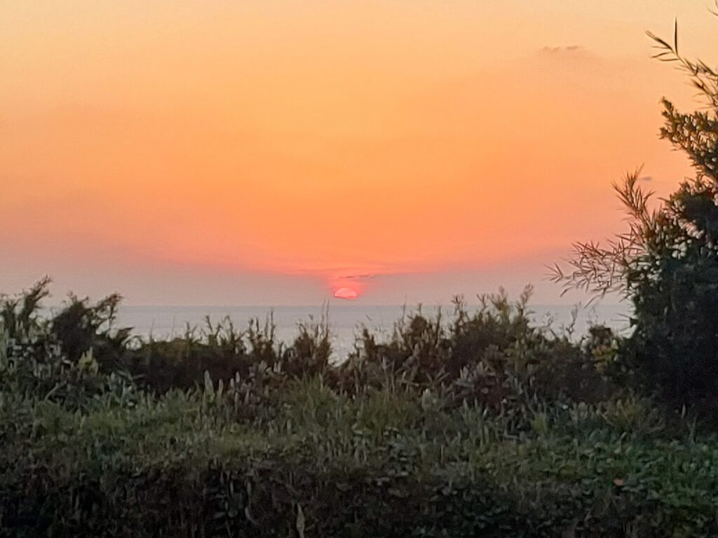 現在の画像に代替テキストがありません。ファイル名: IMG20260320182559.jpg